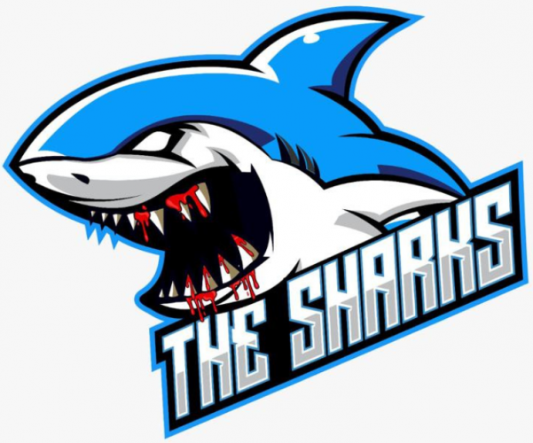 Club The Sharks - Roster, News, Stats & more